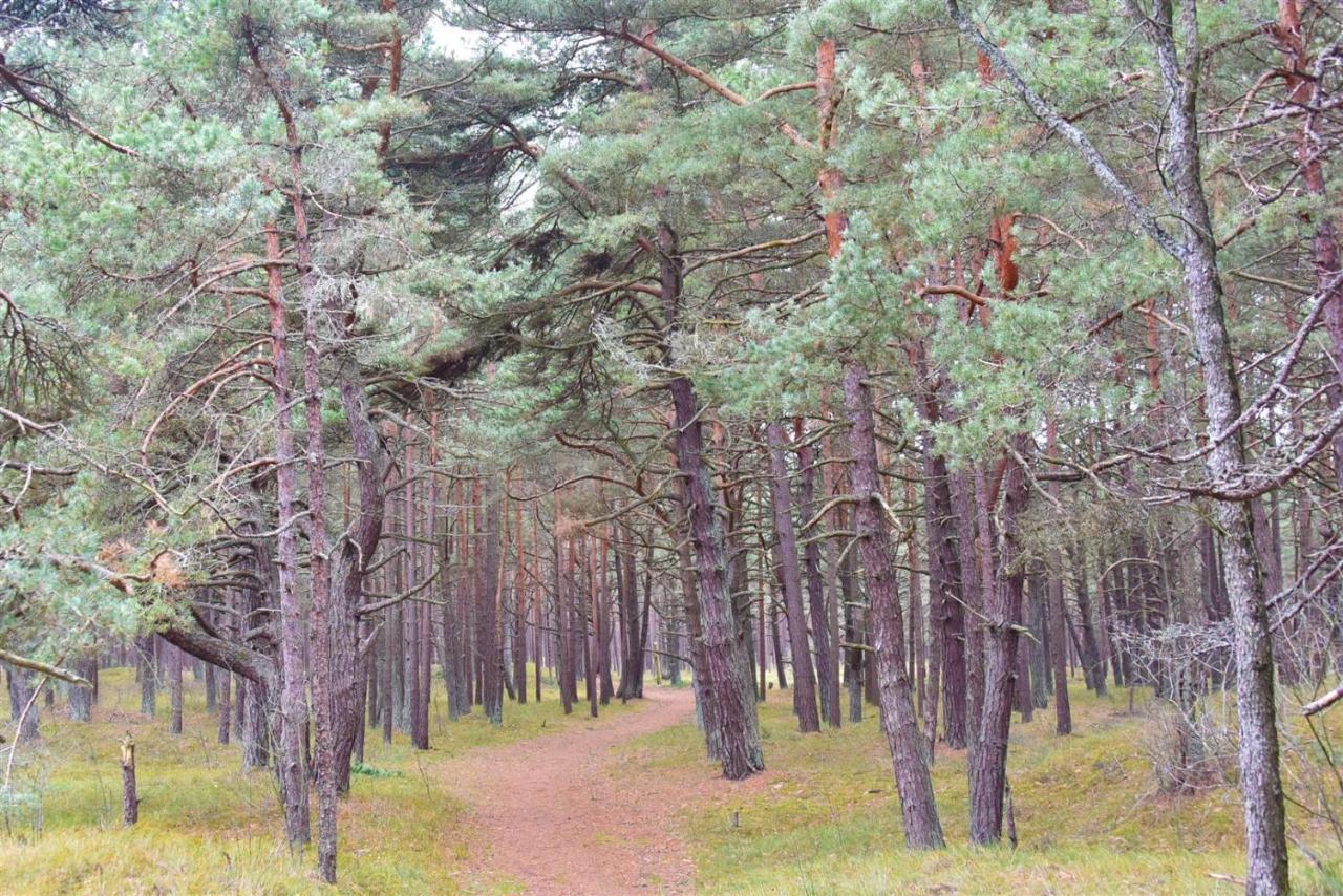 Vila Dia Паланга Екстер'єр фото